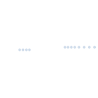 Global Data Collection Company (GDCC)