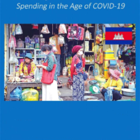 The Young Cambodian Consumer During COVID-19 – 2020