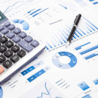 Market Appraisal/Feasibility Surveys